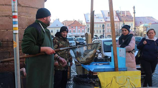 Rybáři z Chlumce prodávají kapry na jičínském náměstí. Jejich práci zvědavě okukují především děti.