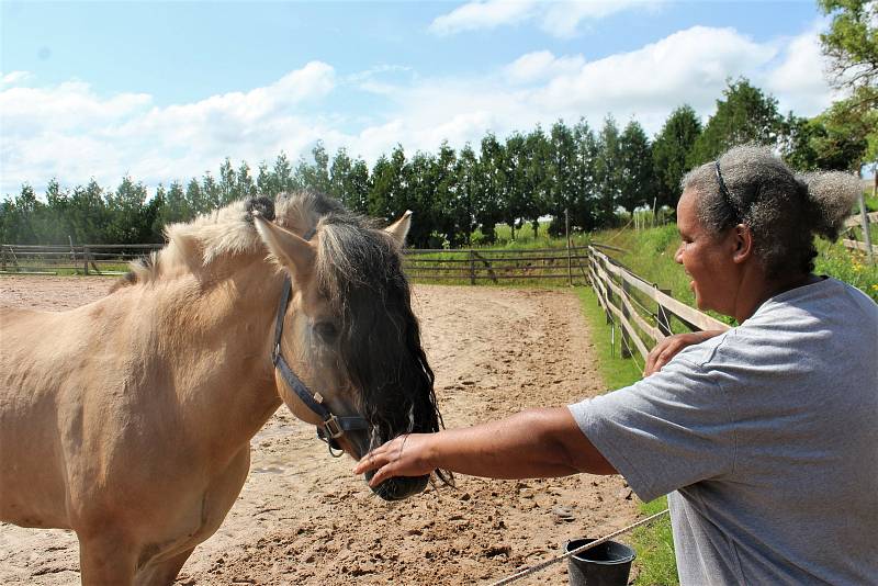 Fjordský kůň je jedno z nejčistších plemen na světě. Jeho podoba se téměř nezměnila od dob, kdy jej chovali skandinávští Vikingové. V Česku jej nyní chová jen málo lidí, hřebčín ve Staré Pace je jediný svého druhu u nás.