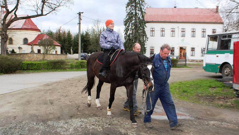 Zvířata v roli lékařů