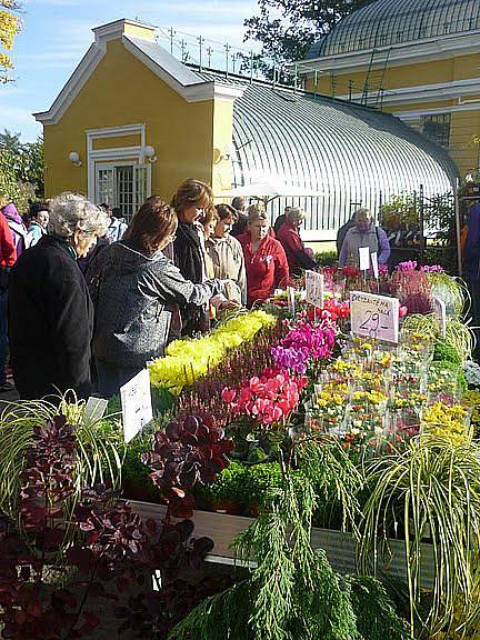 Z Kopidlenského kvítku 2010.