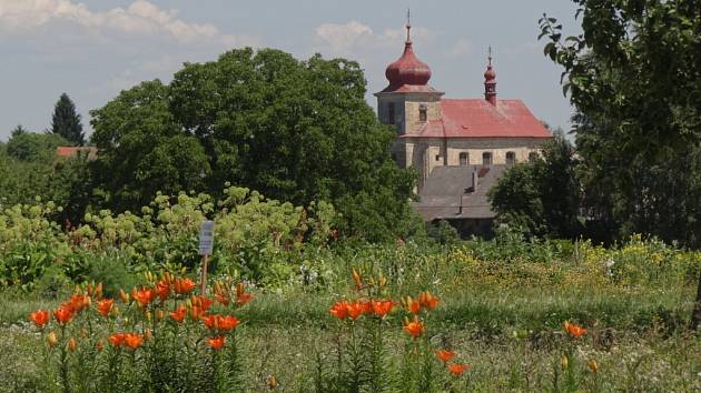 Markvartická Česká květnice.