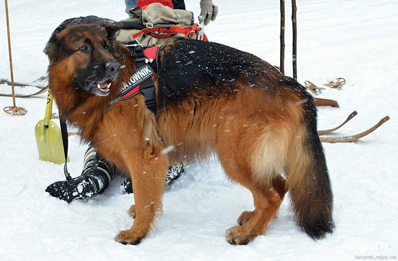 Ski retro festival ve Szklarske Porebe.