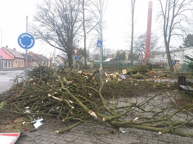 S odklízením popadaných stromů měli práci také v Hořicích u nemocnice i u sokolovny.