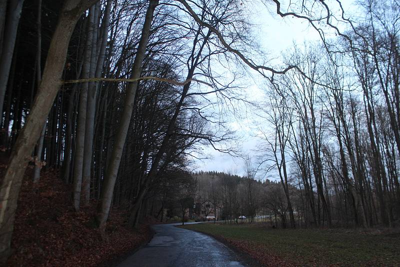 Nebezpečný úsek před obcí Stav, kde jsou nakloněné stromy nad vozovkou druhé třídy.