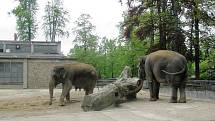 Z výletu dětí ostruženské mateřinky do liberecké ZOO.