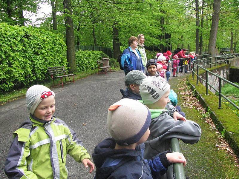 Z výletu dětí ostruženské mateřinky do liberecké ZOO.