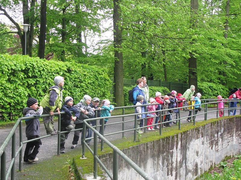 Z výletu dětí ostruženské mateřinky do liberecké ZOO.