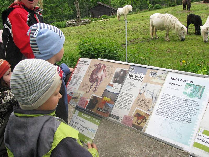 Z výletu dětí ostruženské mateřinky do liberecké ZOO.