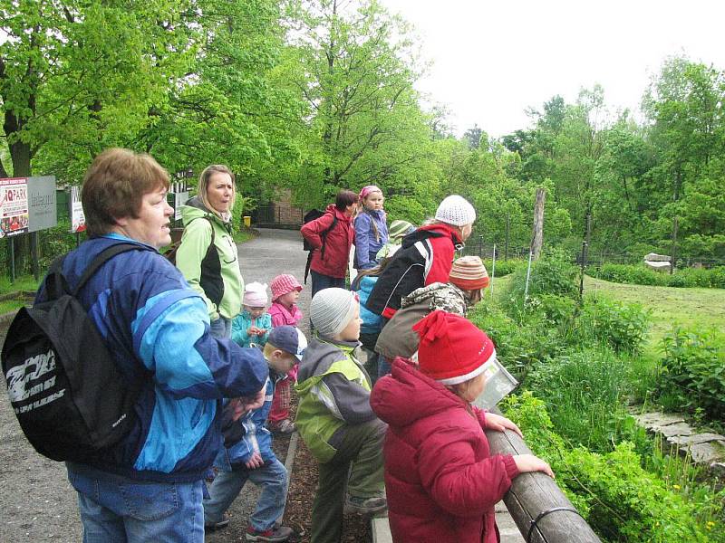 Z výletu dětí ostruženské mateřinky do liberecké ZOO.