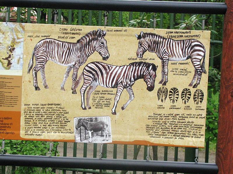 Z výletu dětí ostruženské mateřinky do liberecké ZOO.