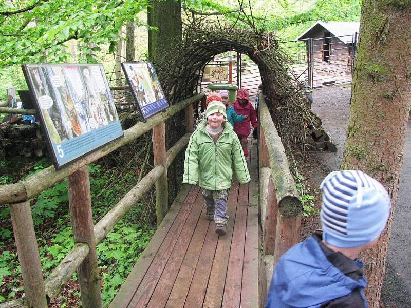 Z výletu dětí ostruženské mateřinky do liberecké ZOO.