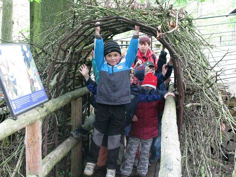 Z výletu dětí ostruženské mateřinky do liberecké ZOO.