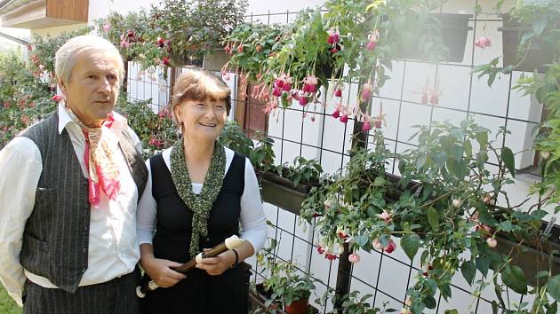 Z výstavy fuchsií v Újezdci u Syřenova.