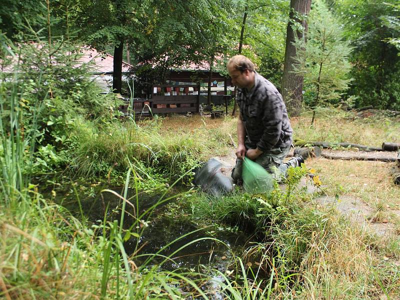 V zahradě muzea se seznámíte s dřevinami a bylinami Českého ráje. Nachází se zde stanoviště pro volně žijící živočichy i venkovní terária, tůně pro obojživelníky, želvy či hmyzí hotel.