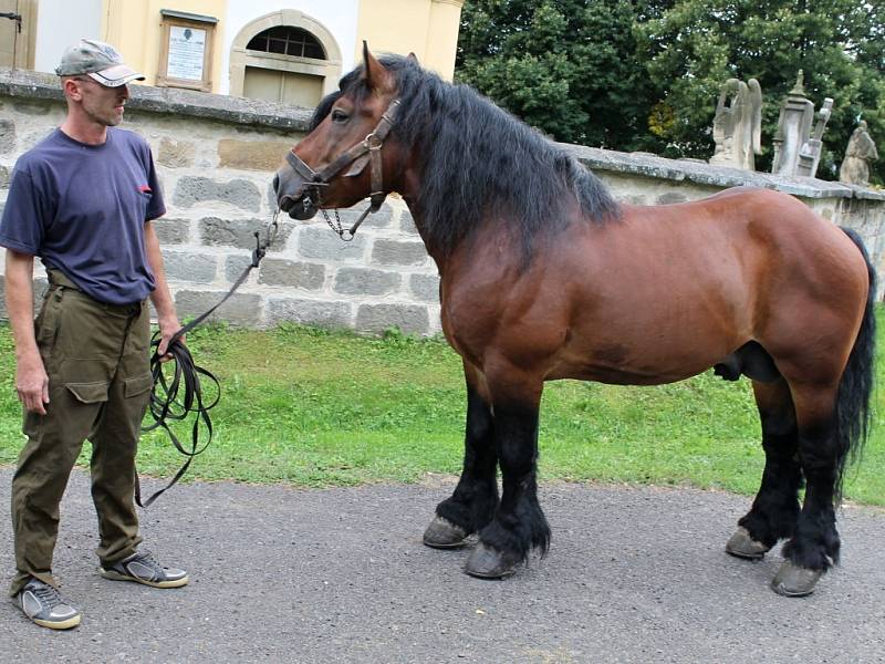 Kování koní.