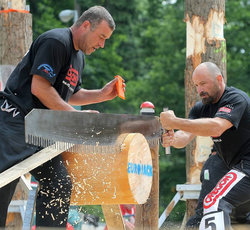 Třetí závod dřevorubeckých sportů Eurojack se uskutečnil o víkendu v Jihlavě.  Na snímku český závodník David Síla, který v nedělním závodě skončil na druhém místě.