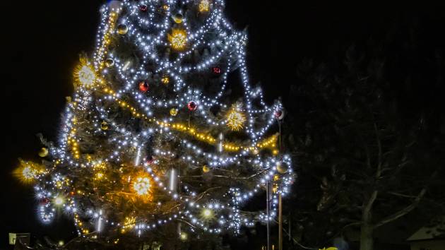 Vánoční strom v Borech.
