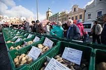 Farmářské trhy a bramborářský den na Havlíčkově náměstí v Havlíčkově Brodě v roce 2021.