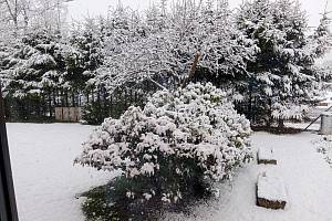 Sníh ve Světnově na Žďársku.