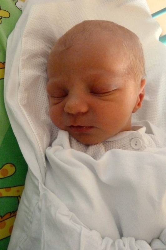 David Roudenský, 23. 11. 2014, 3 390 g, 51 cm, Jihlava