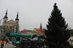Smrk omorika již zdobí jihlavské Masarykovo náměstí.