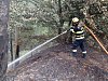 OBRAZEM: S ohněm v Českém Švýcarsku bojují i hasiči z Vysočiny