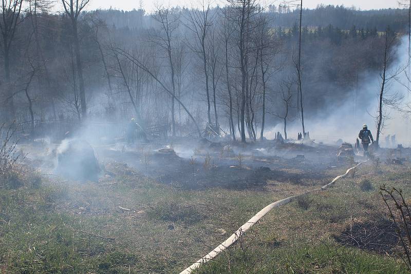 Požár lesního porostu u Ždánic na  Havlíčkobrodsku