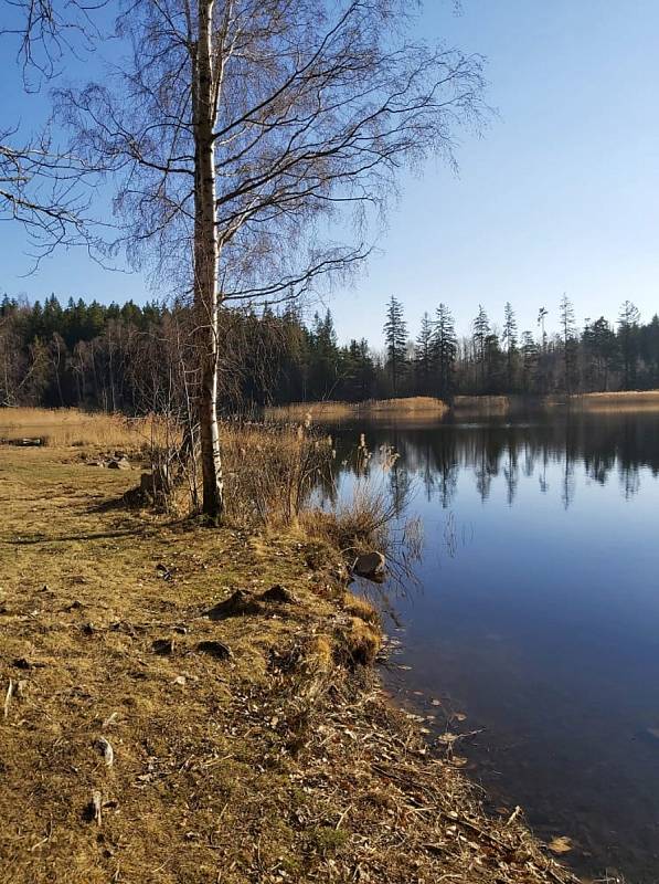 Okolí Velkého Pařezitého rybníka nabízí pestré vyžití.