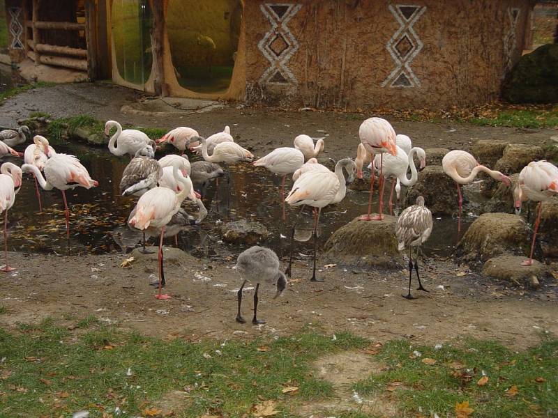 Víkend v jihlavské zoo.