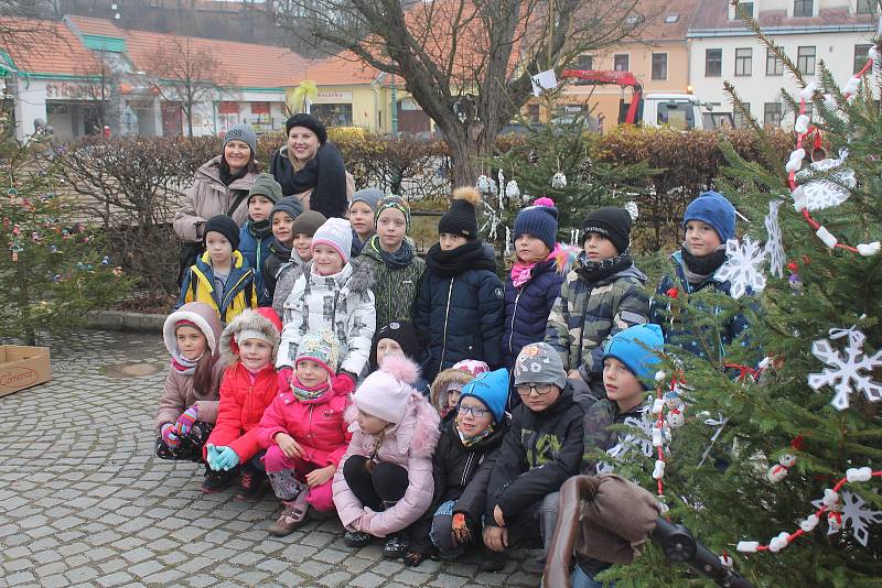 Náměstí v Brtnici zdobí vánoční stromky. Děti na ně navěsily ozdobičky, které samy vyrobily.