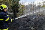 Požár mladého lesa u Řídelova si vyžádal i zásah hasicího letadla.