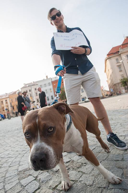 Na Masarykově náměstí v Jihlavě se 5. června sešli lidé na demonstraci proti premiérovi Andreji Babišovi a chystané vládě s podporou komunistů.