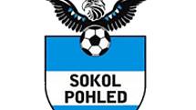 Sokol Pohled