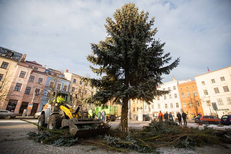 Kácení vánočního stromu na Masarykově náměstí v Jihlavě.