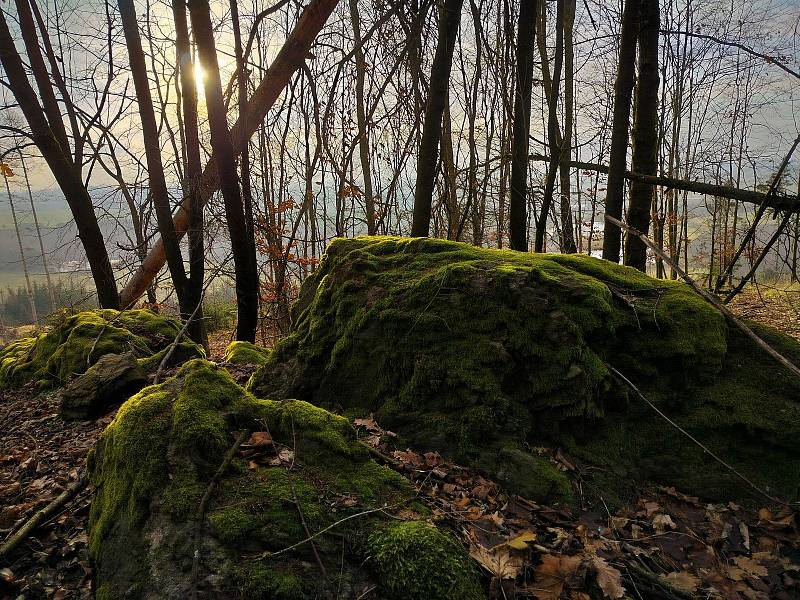 Výlet k soše jelena nad Hodicemi stojí za to. Je odsud vidět Javořice i Roštejn.