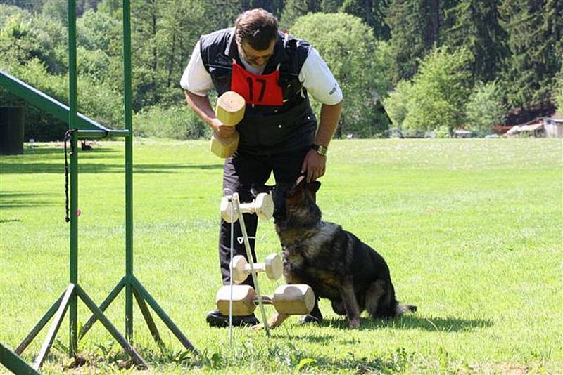 Nominační kynologický závod psů služebních plemen na cvičišti v Jihlavě–Heleníně.