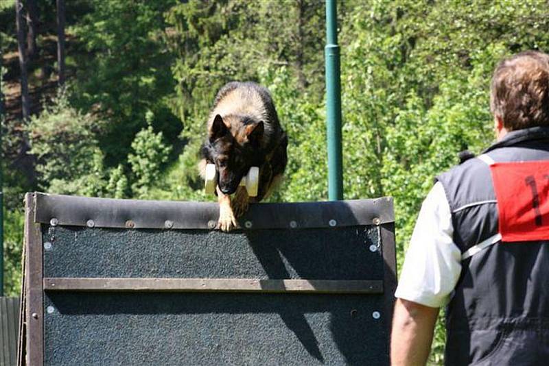 Nominační kynologický závod psů služebních plemen na cvičišti v Jihlavě–Heleníně.