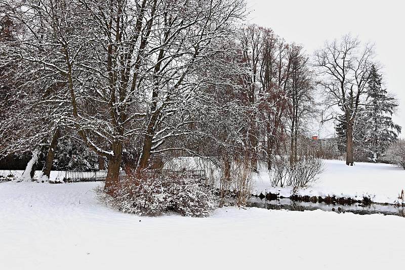 Procházka předvánoční Telčí není jenom náměstí, ale své kouzlo skrývá i zámecký park.