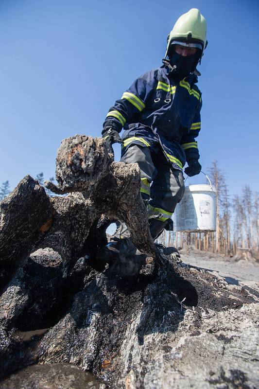 Dohašování ohnisek požáru z 6. - 7. dubna 2020 v lese u Kamenice na Jihlavsku.