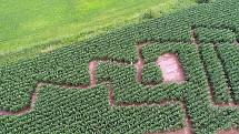 Labyrint v kukuřičném poli je také poblíž jihlavského letiště na Henčově.