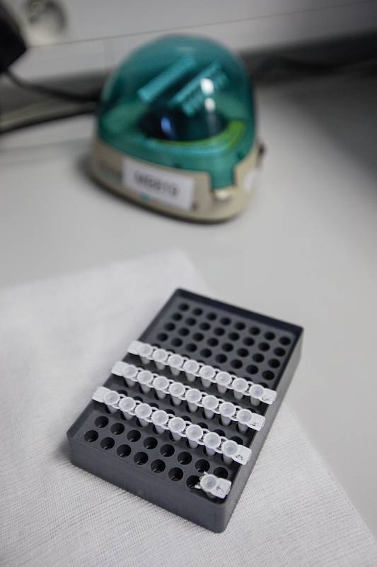 Laboratoře Státního veterinárního ústavu Jihlava, ve kterých testují vzorky z rohlíků s podezřením na Covid-19.
