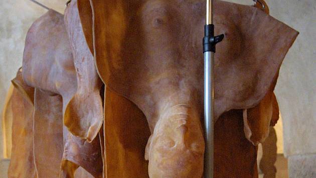 Ján Macko představuje v galerii dřevěné sochy a ukázky imitací lidské kůže (na snímku).