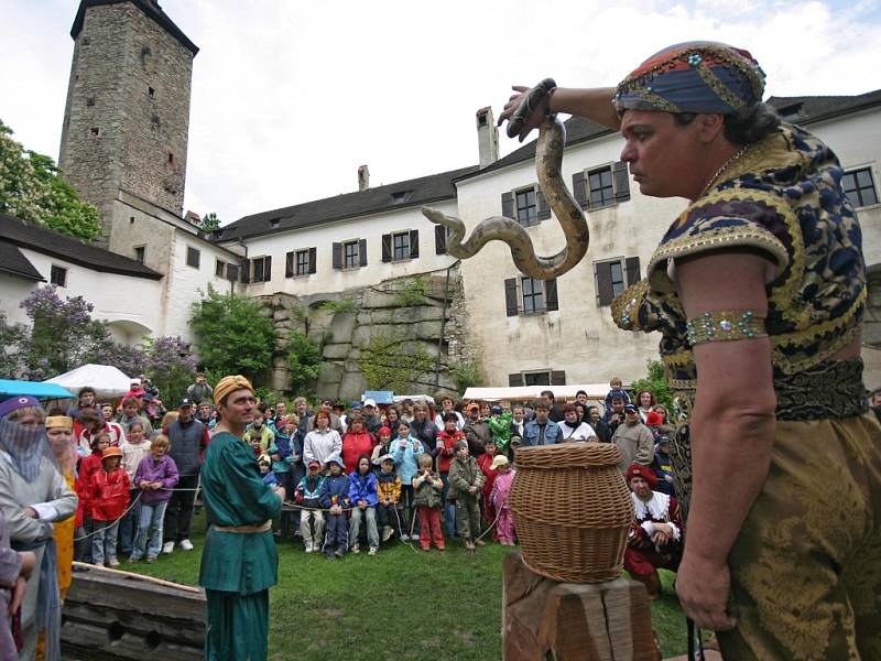 Dočká se rekonstrukce. Stavební práce by měly mimo jiné zahrnovat obnovu fasád, statické zajištění objektu, rekonstrukci autentických částí a prvků interiéru včetně pořízení bezpečnostního systému. Hotovo by mělo být na Roštejně do konce února 2021. 