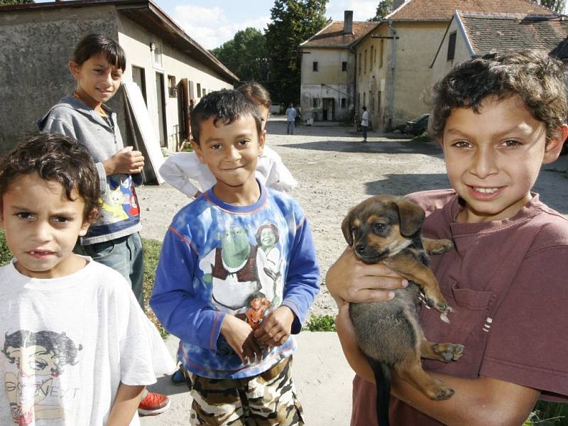 Kolonie Romů v objektech bývalé cihelny za Telčí. Na deset rodin celkem se sedmdesáti lidmi žije v bytech bez vody někde s vysoko provlhlými stěnami.
