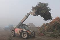 Vánoční stromky po rozdrcení poslouží jako základ nově vznikajícího kompostu.
