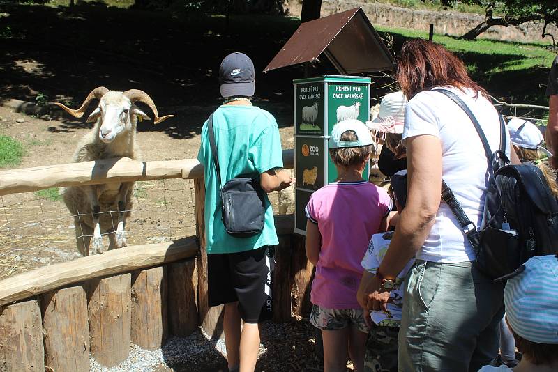 Jihlavská zoo je nejvíce navštěvovaným turistickým cílem Vysočiny. Divácky atraktivní jsou zejména komentovaná krmení zvířat.