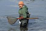 Rybník Borovinka se lovil po dvaatřiceti letech