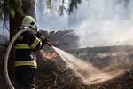 I přes opakované varování hasiče nadále zaměstnávají požáry v lese. Jen za poslední březnovou neděli krajští požárníci zaznamenali osm těchto případů.