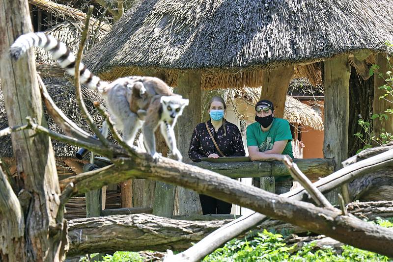 Do ZOO v loňském roce zavítali lidé už i s rouškou.