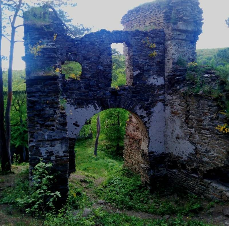 Výlet do Vranova nad Dyjí může být pestrý. Zřícenina Frejštejn.